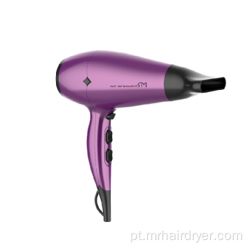 Secador de cabelo montado home 2100W